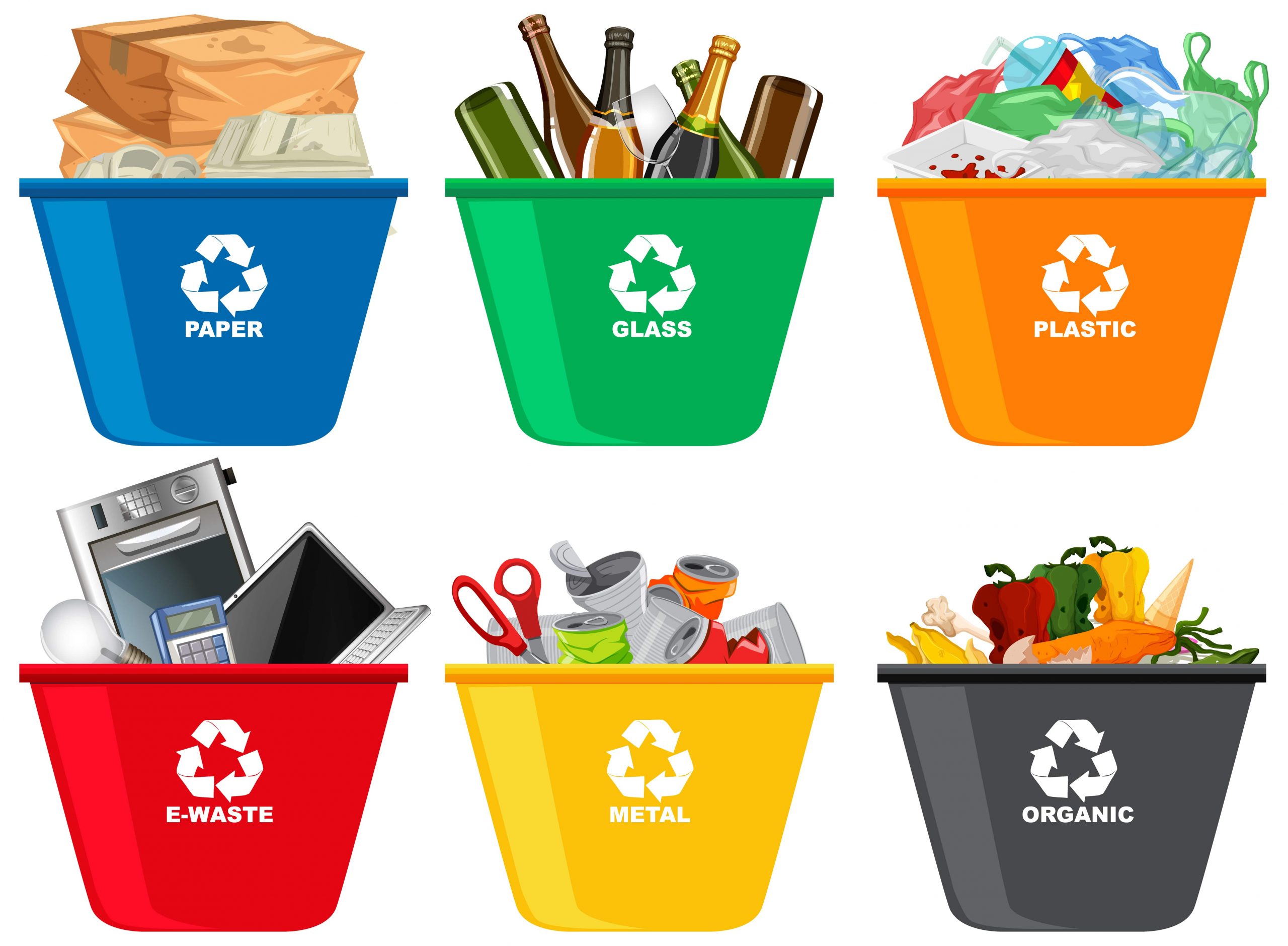 Uncover Dumpster Rentals And Waste Management Solutions In Tampa