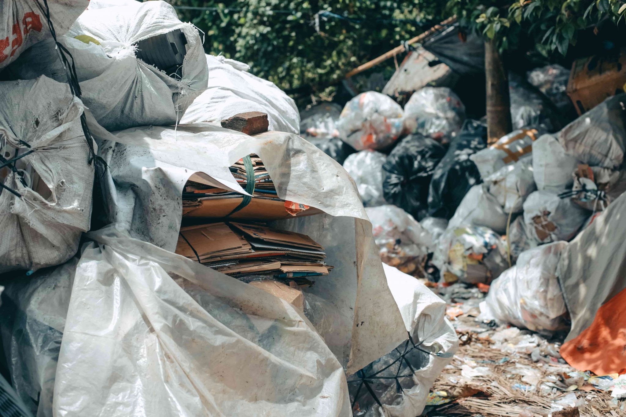 All About Commercial Waste As a Daily Life Struggle › Evreka