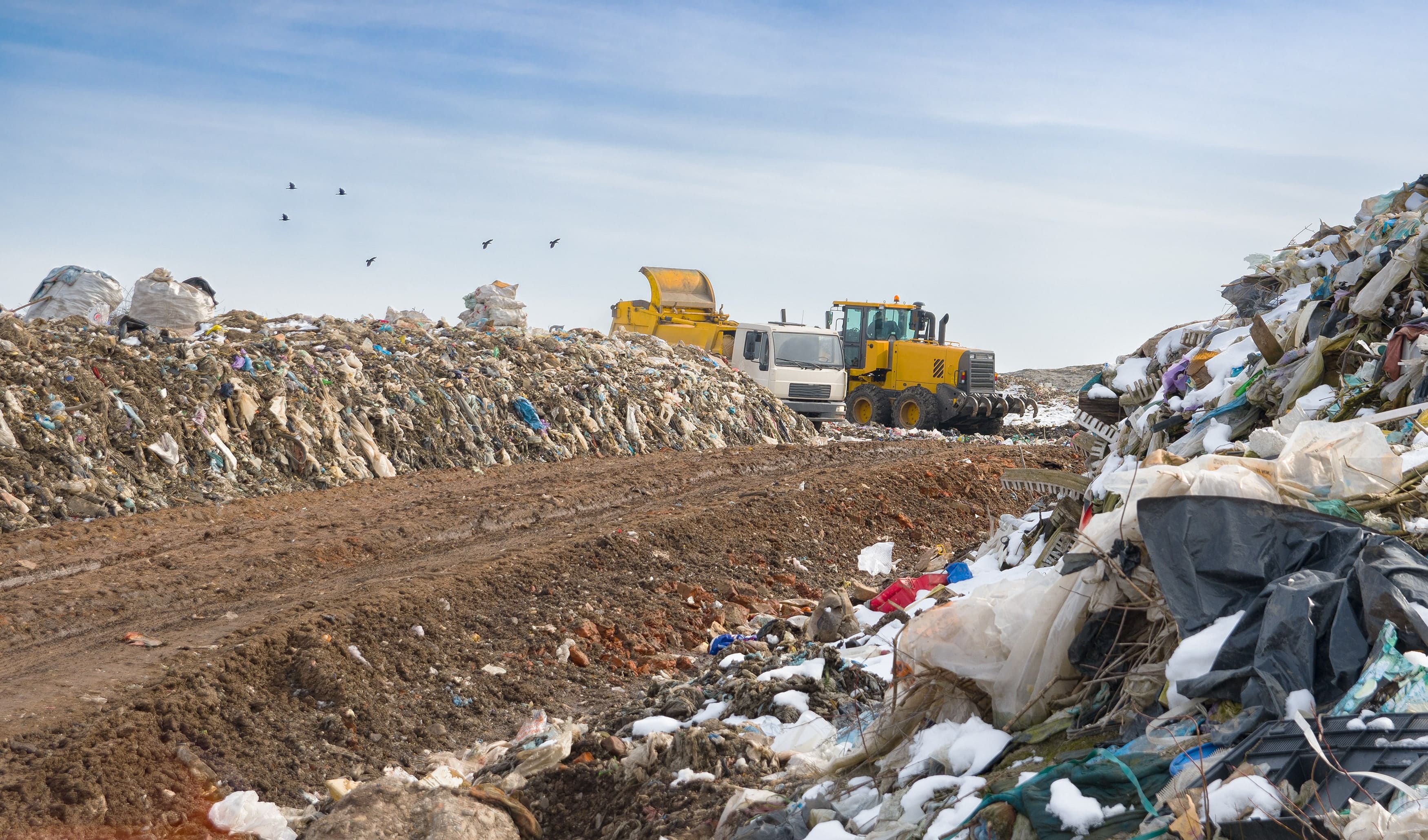 global garbage crisis