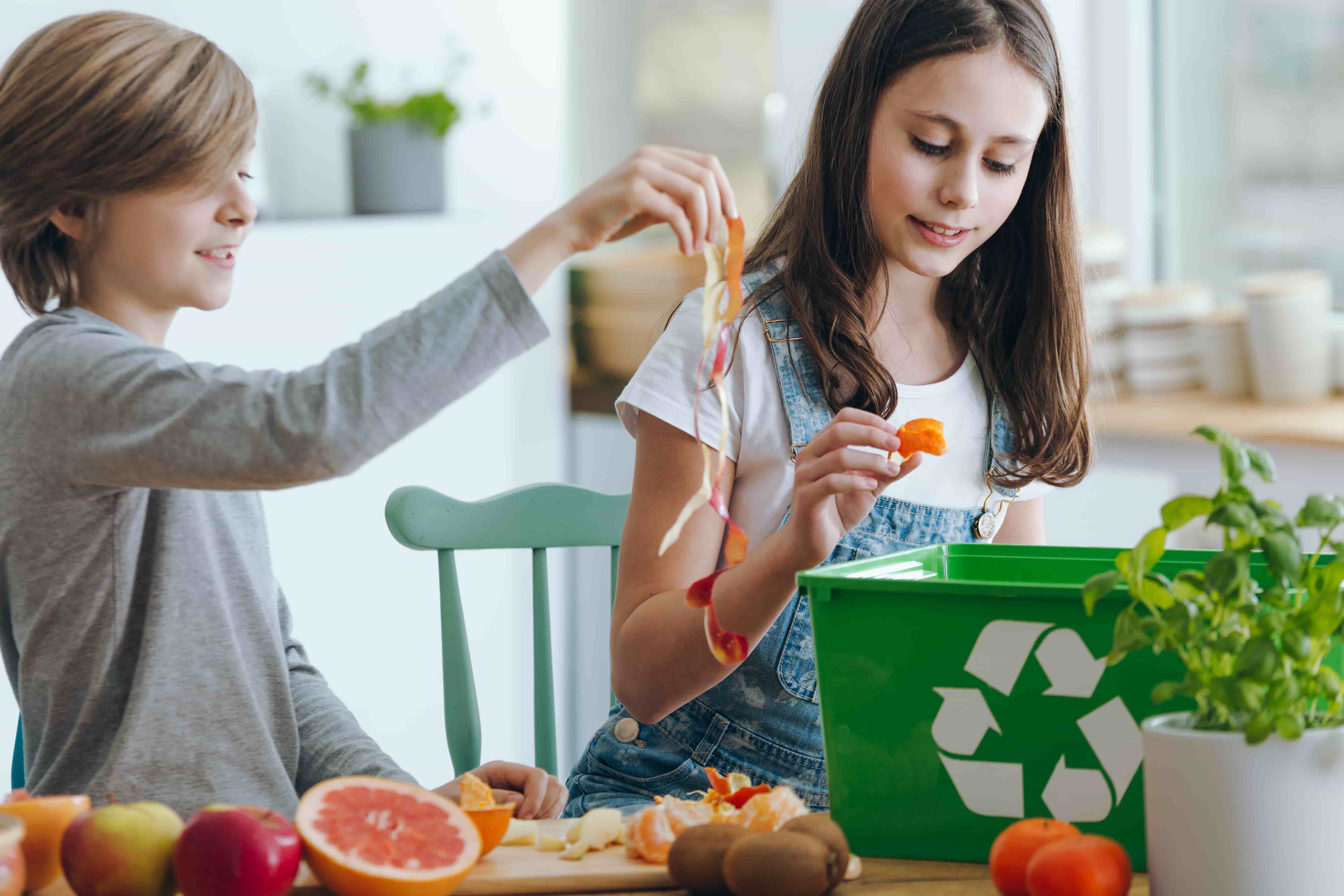 eco-friendly garbage disposal 