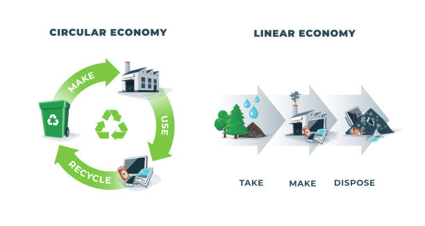 transition to the circular economy