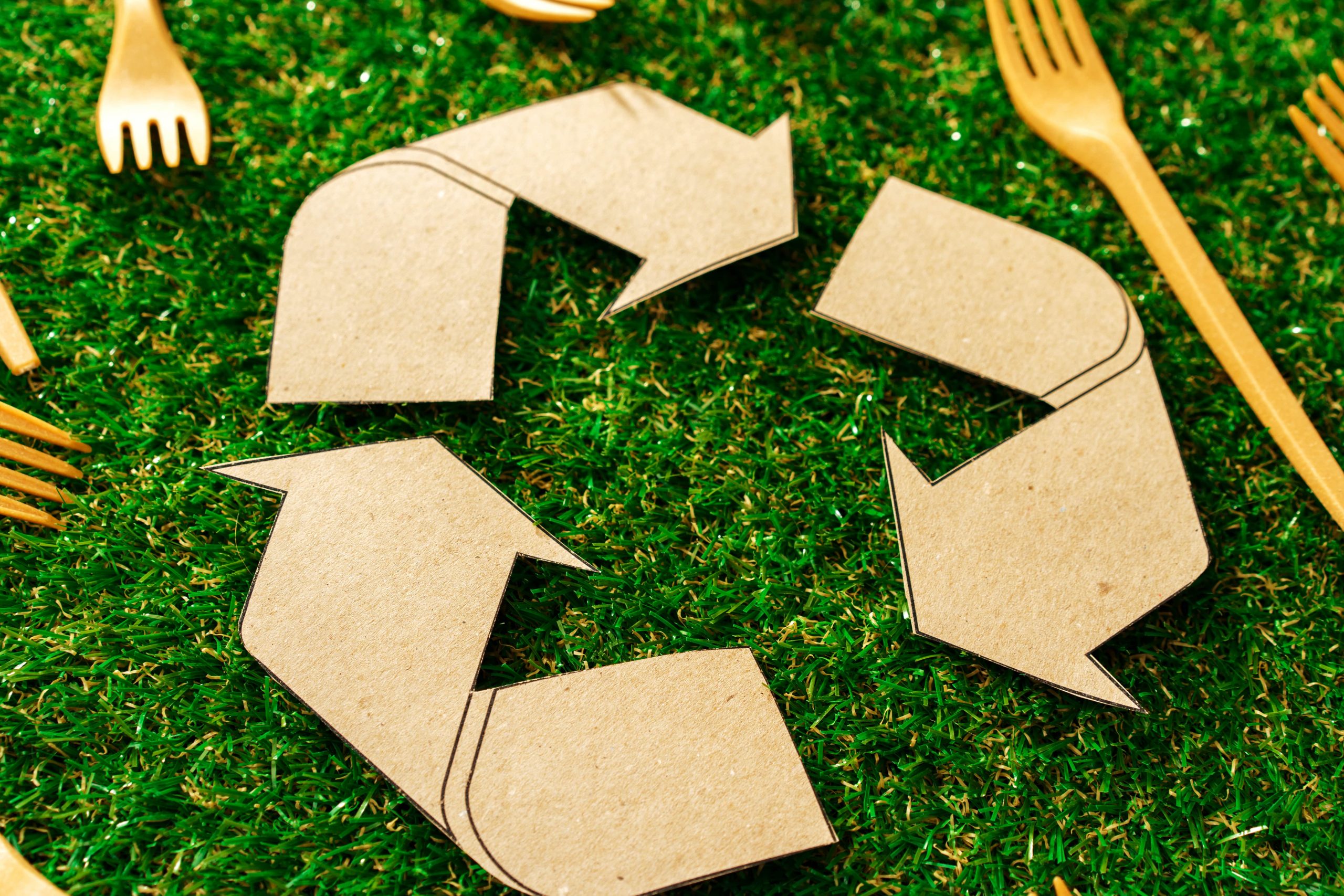 Where to Get Wood Scraps  : Eco-Friendly Solutions