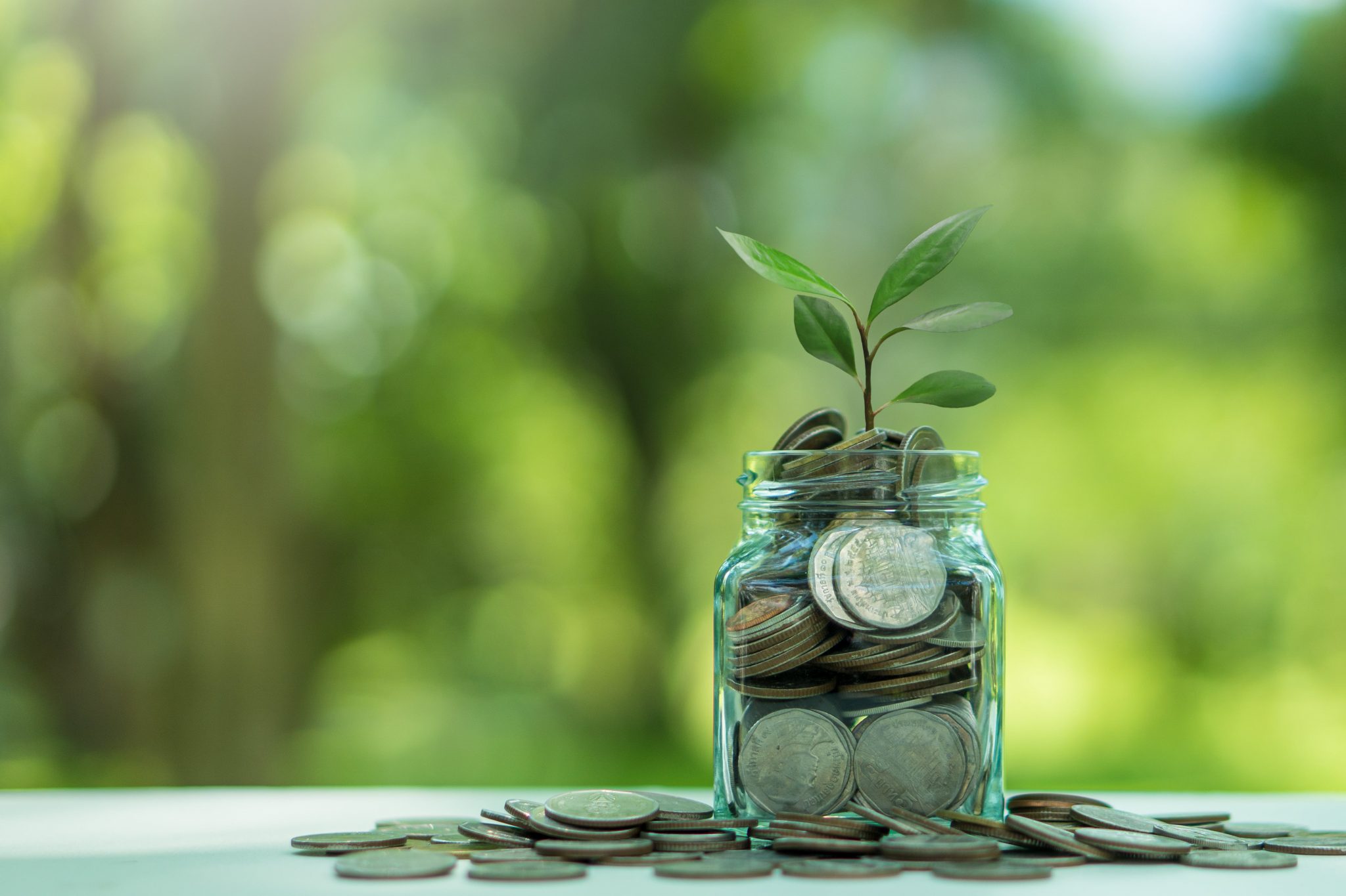 How To Plan Your 2024 Sustainability Budget Evreka   Glass Jar With Small Plant And Coin Inside Financ 2023 06 10 01 42 41 Utc Min 2048x1365 