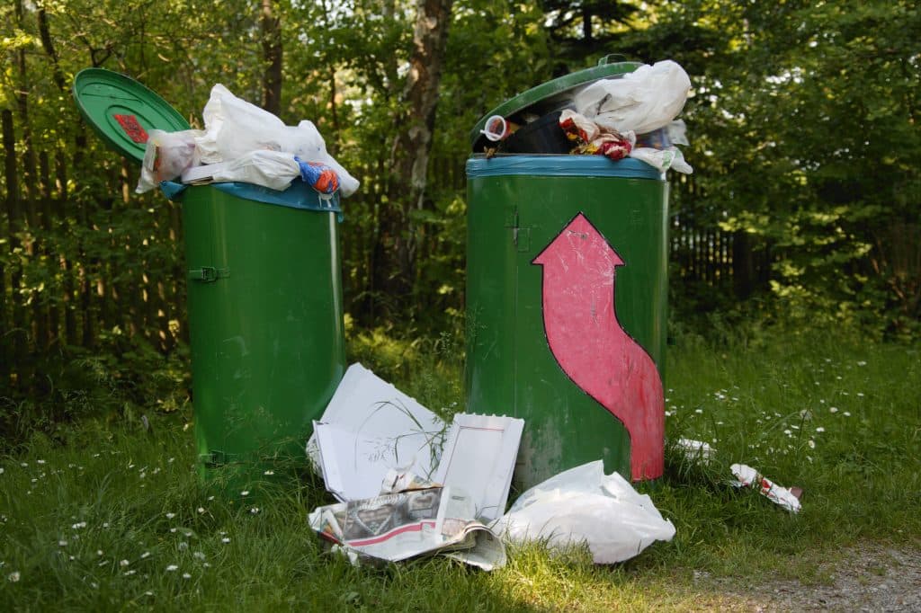 Overflowing Green Trash Cans in a Wooded Area
